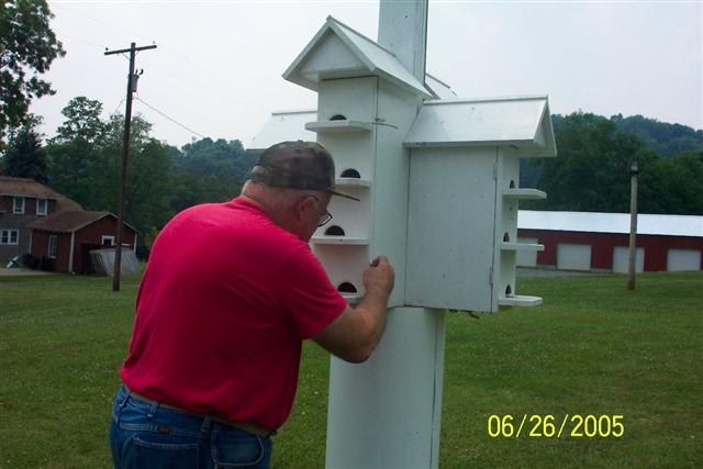 Checking the Purple Martin box