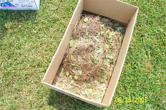 Purple Martin nesting material